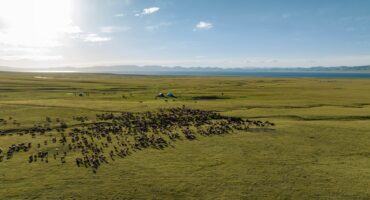 fot. Myrzabek Ozubekov