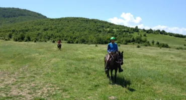 20250604_123735-scaled