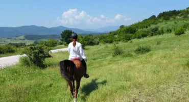 20250605_105340-scaled