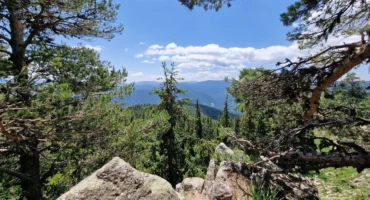 20250616_124649-scaled