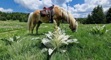 20250618_124929-scaled