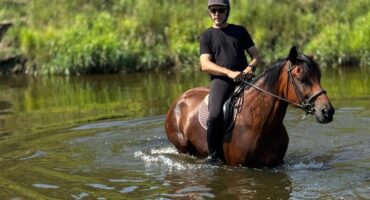 fot. Stajnia D'Amore