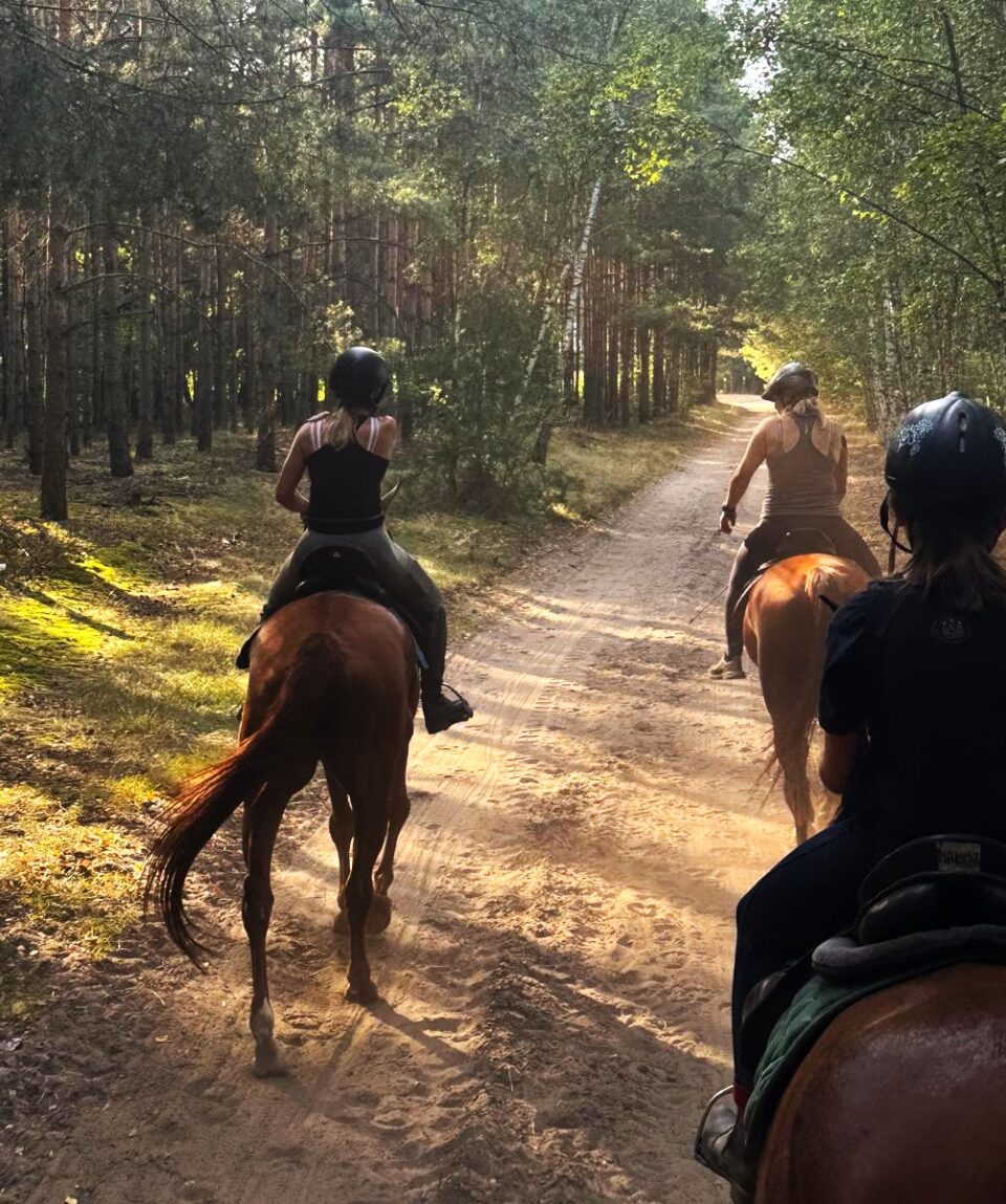 fot. Stajnia D'Amore