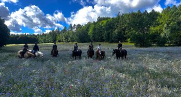 fot. Aleksandra Sito / Lisowczycy