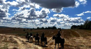 fot. Aleksandra Sito / Lisowczycy