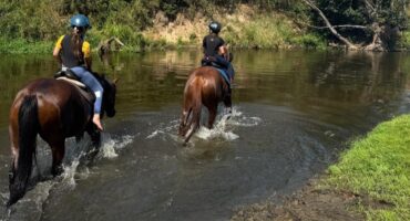 fot. Stajnia D'Amore