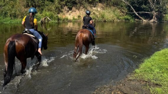fot. Stajnia D'Amore