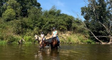 fot. Stajnia D'Amore