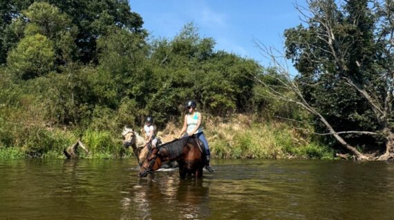 fot. Stajnia D'Amore