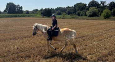 fot. Stajnia D'Amore