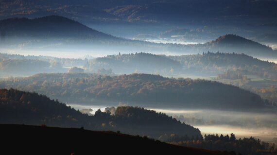 fot. Michał Rażniewski