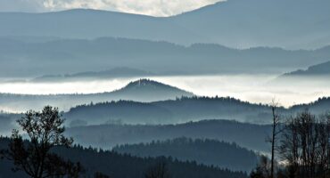 fot. Michał Rażniewski