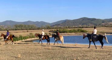 viber_image_2024-11-05_19-15-56-216