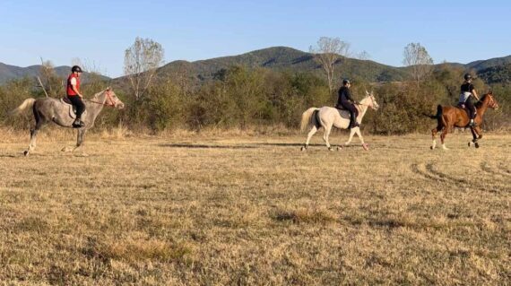 viber_image_2024-11-05_19-15-56-521-570x319