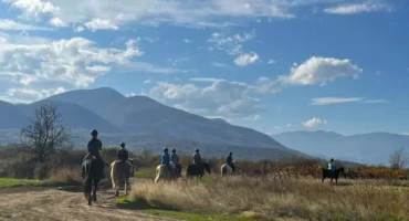 viber_image_2025-12-15_20-46-13-128