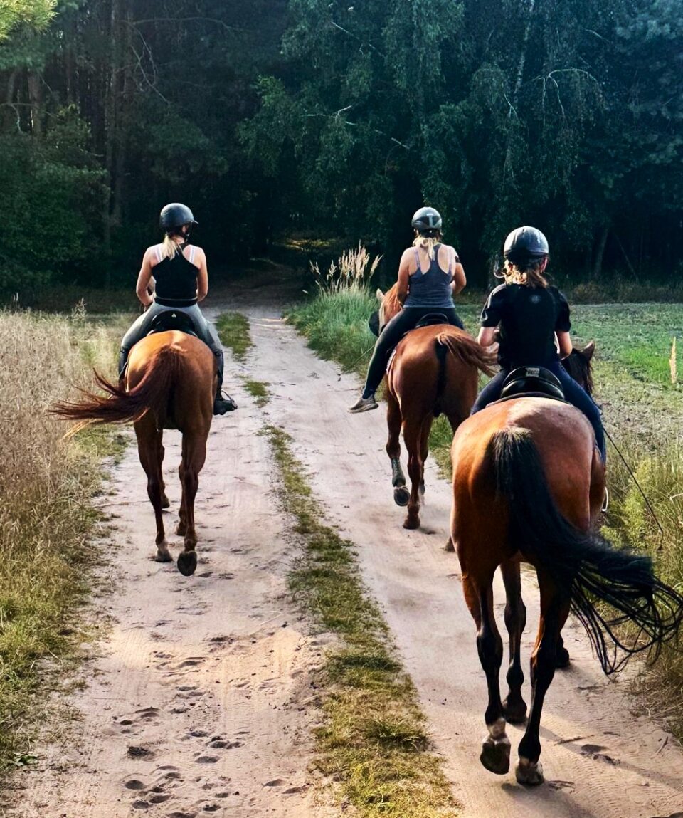 fot. Stajnia D'Amore