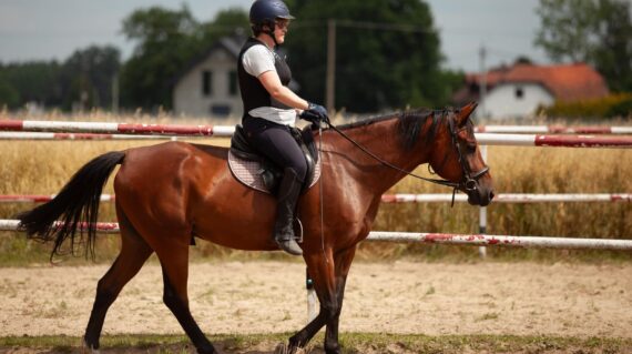 fot. Stajnia D'Amore