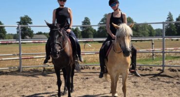 fot. Stajnia D'Amore