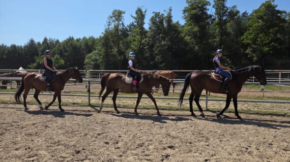 fot. Stajnia D'Amore