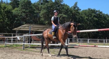 fot. Stajnia D'Amore