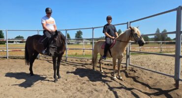 fot. Stajnia D'Amore