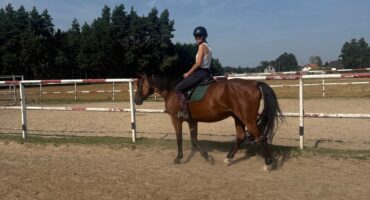 fot. Stajnia D'Amore