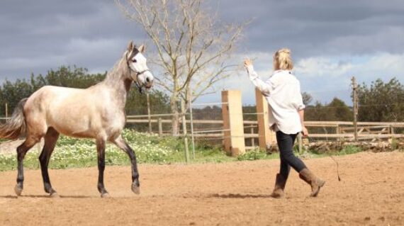 fot. Naturacavall-prog