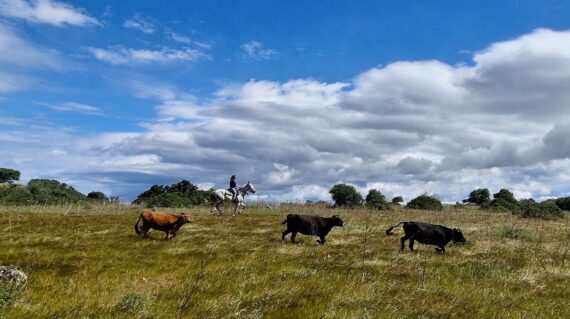 fot. Paweł Jasiński / Lisowczycy