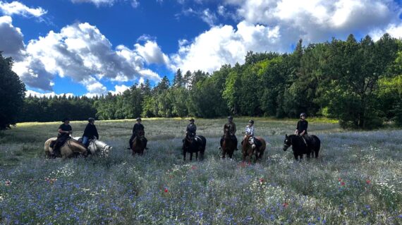 fot. Aleksandra Sito / Lisowczycy