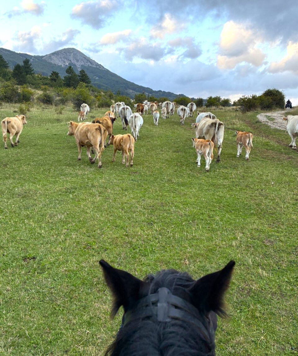 597881313_10164073167733756_5326272315941979316_n