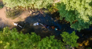 DJI_0104-1-lr