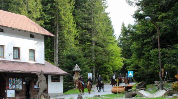 fot. z archiwum przewodnika