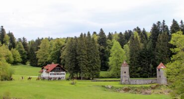 fot. z archiwum przewodnika