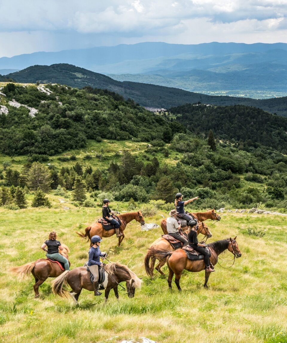 fot. z archiwum przewodnika